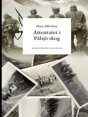 cover image of Attentatet i Pålsjö skog